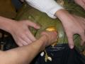 100_8013.jpg