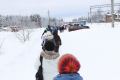_MG_5135.jpg