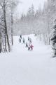 _MG_5291.jpg