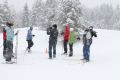 _MG_5299.jpg