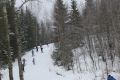 IMG_5030.jpg