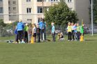 IMG_7866.jpg