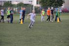 IMG_7919.jpg