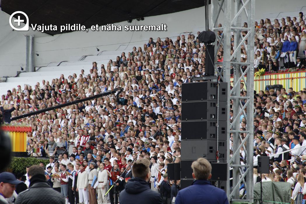 Klõpsa pildi vaatamiseks täissuuruses